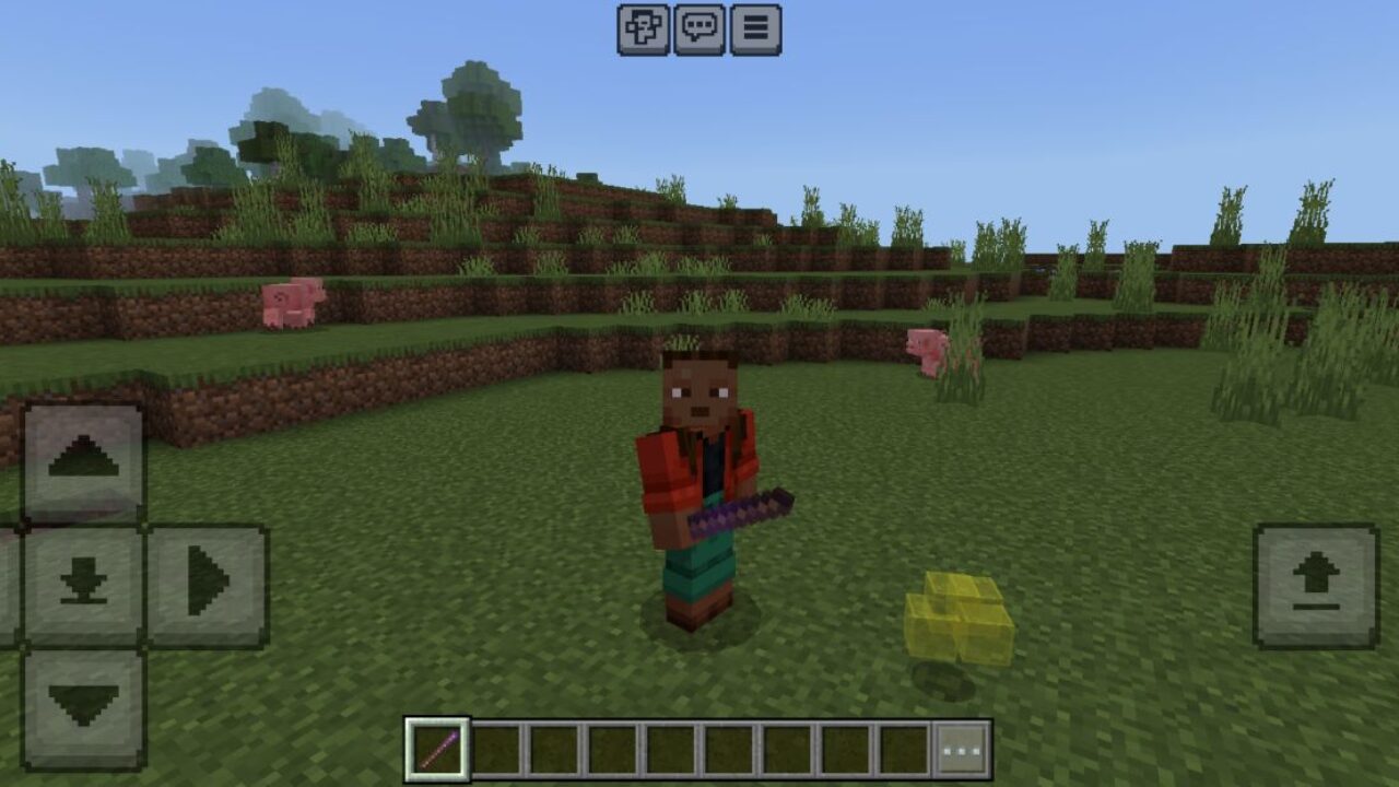 Item from Pickblock Plus Mod for Minecraft PE