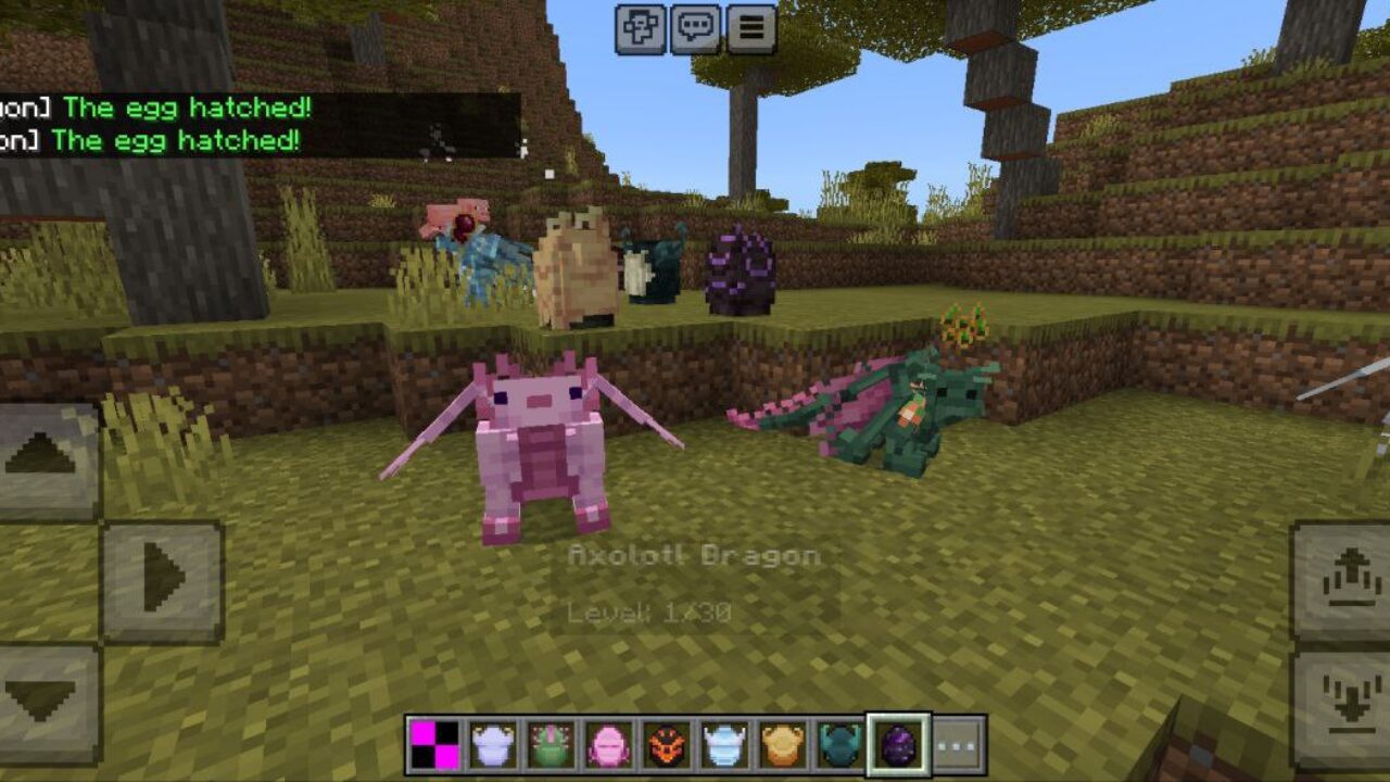 Train Your Dragon Mod for Minecraft PE