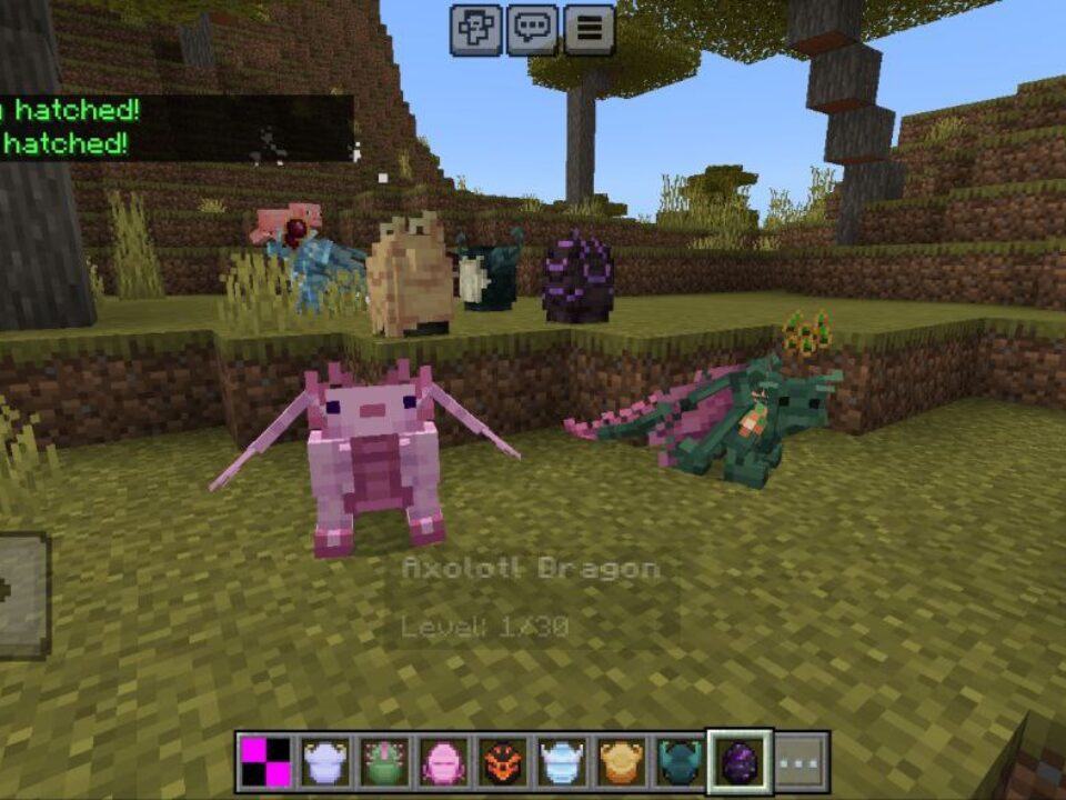 Train Your Dragon Mod for Minecraft PE