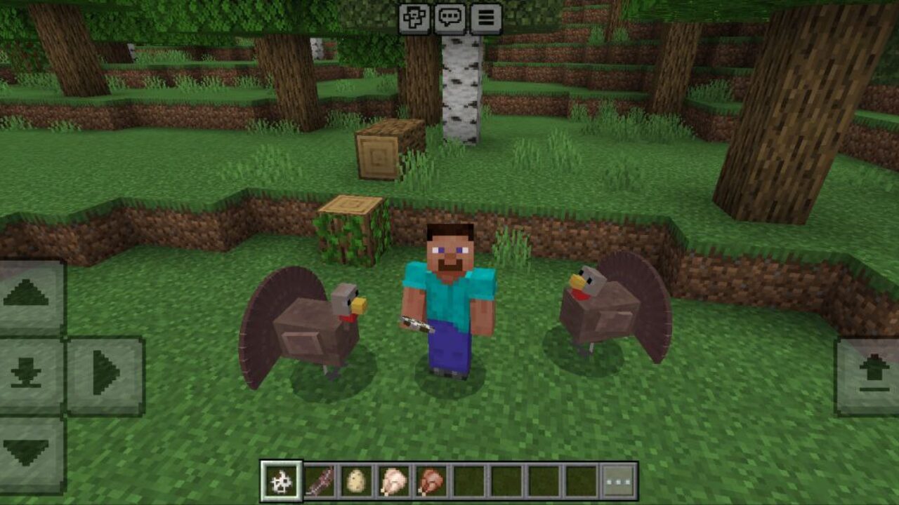 Turkey Mod for Minecraft PE