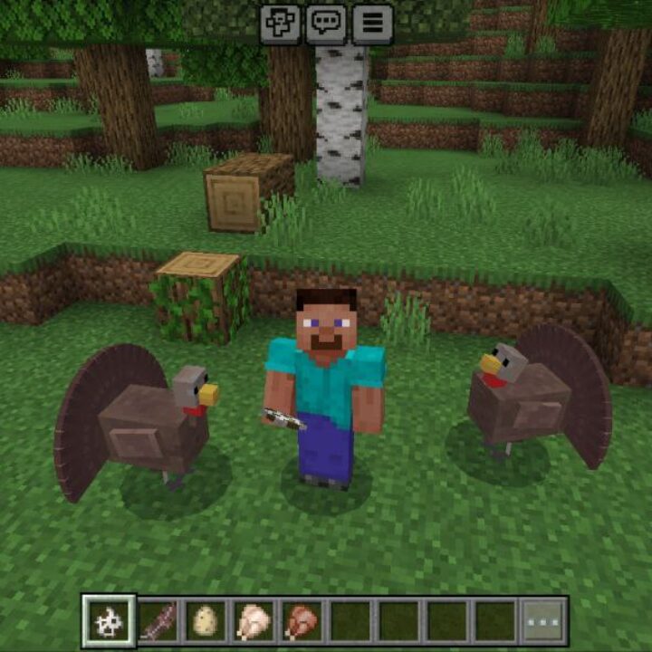 Turkey Mod for Minecraft PE