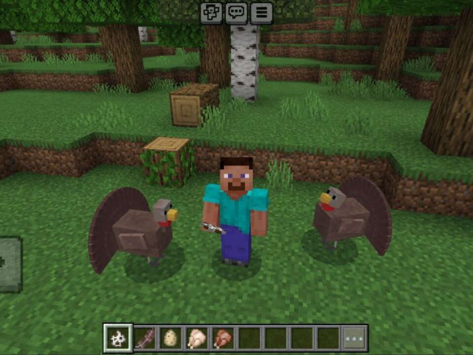 Turkey Mod for Minecraft PE