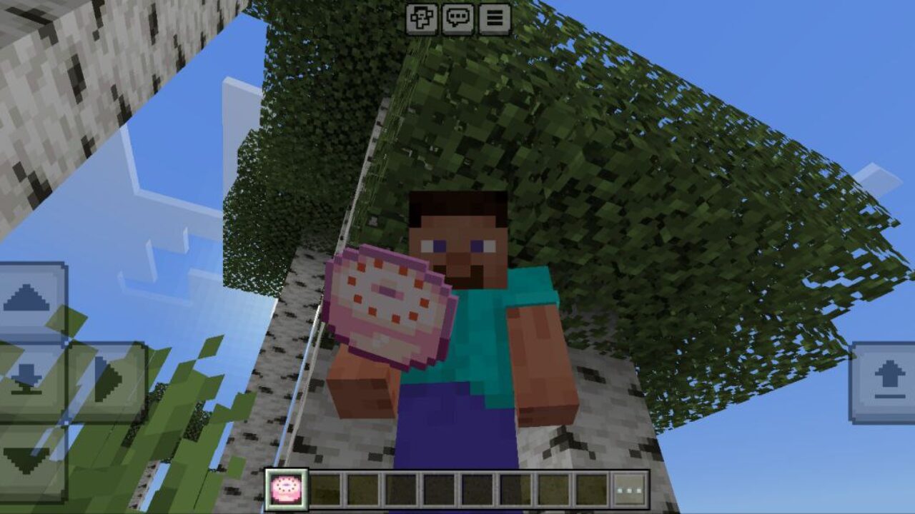 Use from Pink Cake Texture Pack for Minecraft PE