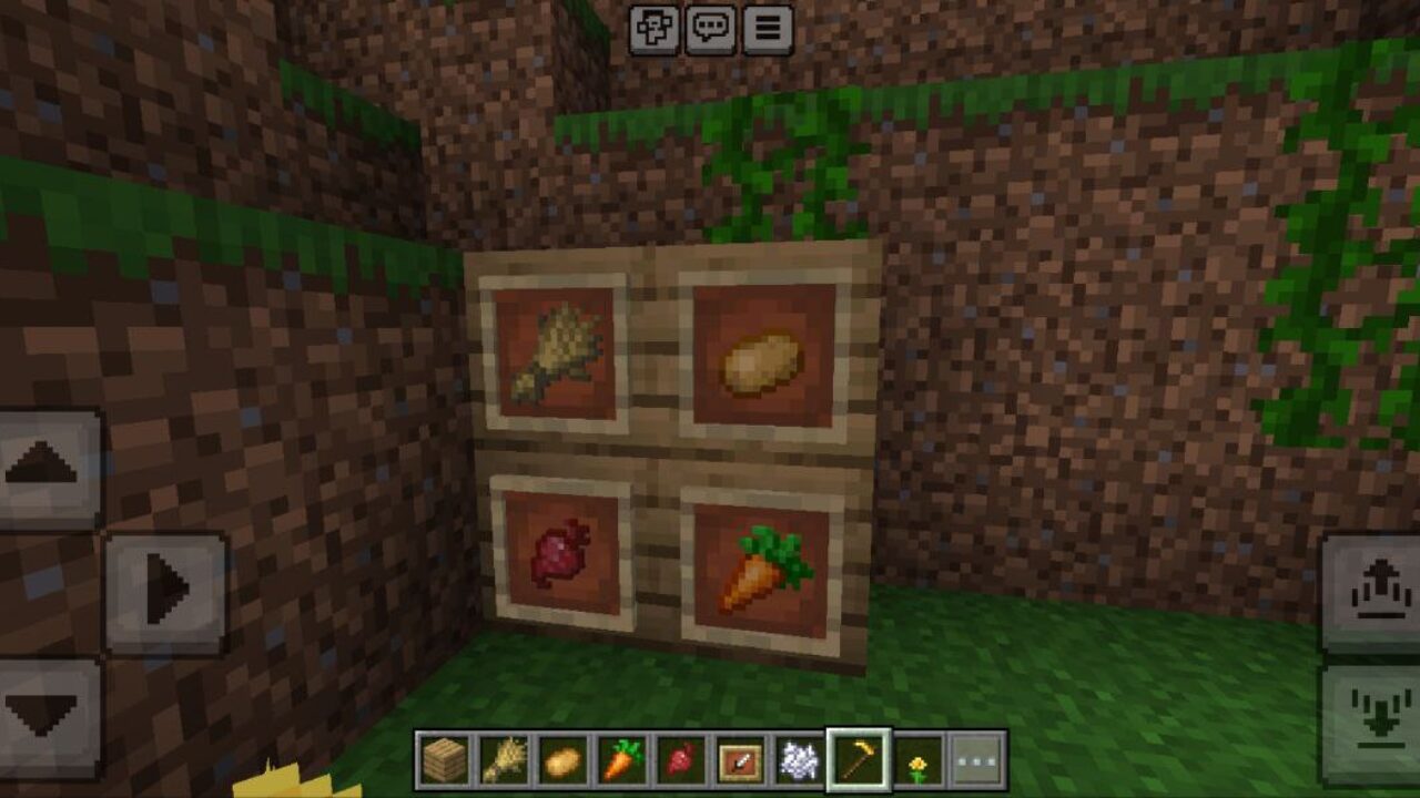 Veggies from Farming Revamp Mod for Minecraft PE