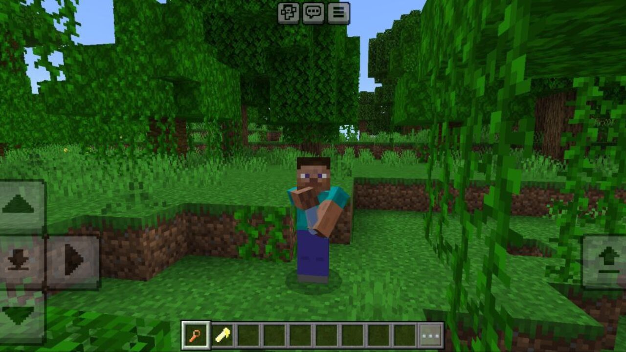 Wand from Bubbles Mod for Minecraft PE