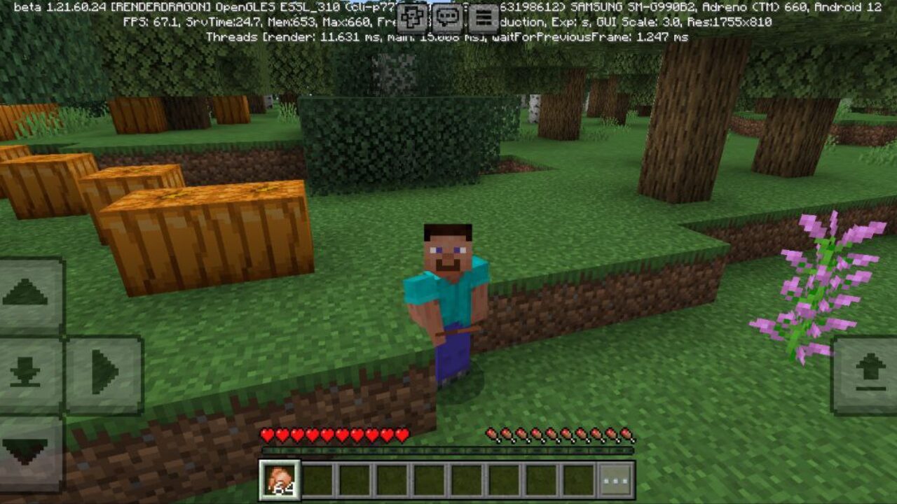 Appleskin Mod for Minecraft PE