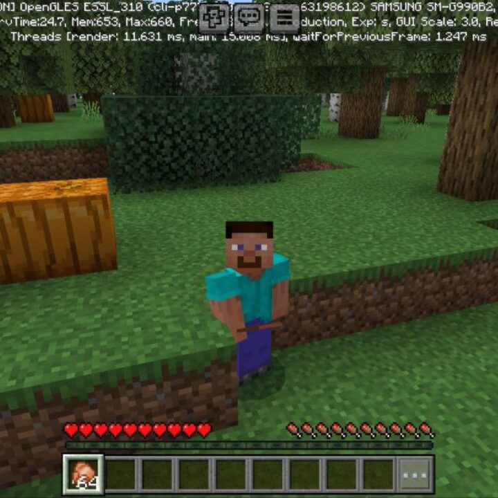 Appleskin Mod for Minecraft PE