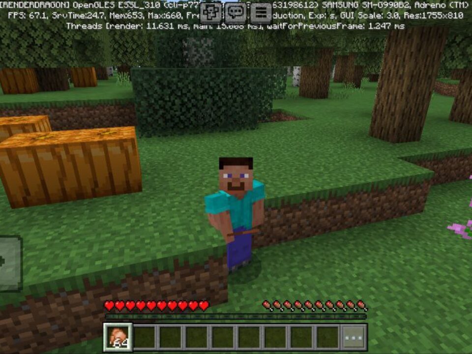 Appleskin Mod for Minecraft PE