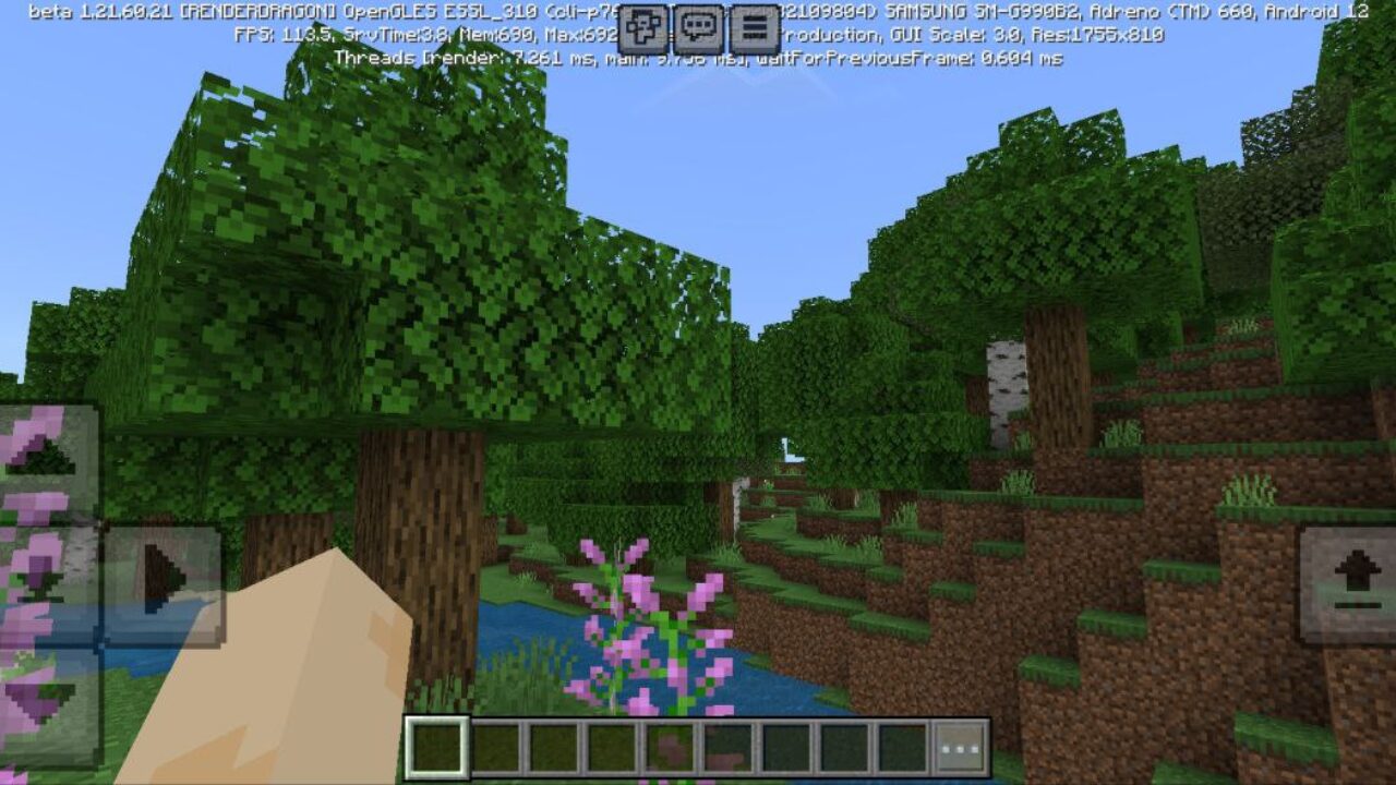 Function from Complex Left Hand Texture Pack for Minecraft PE