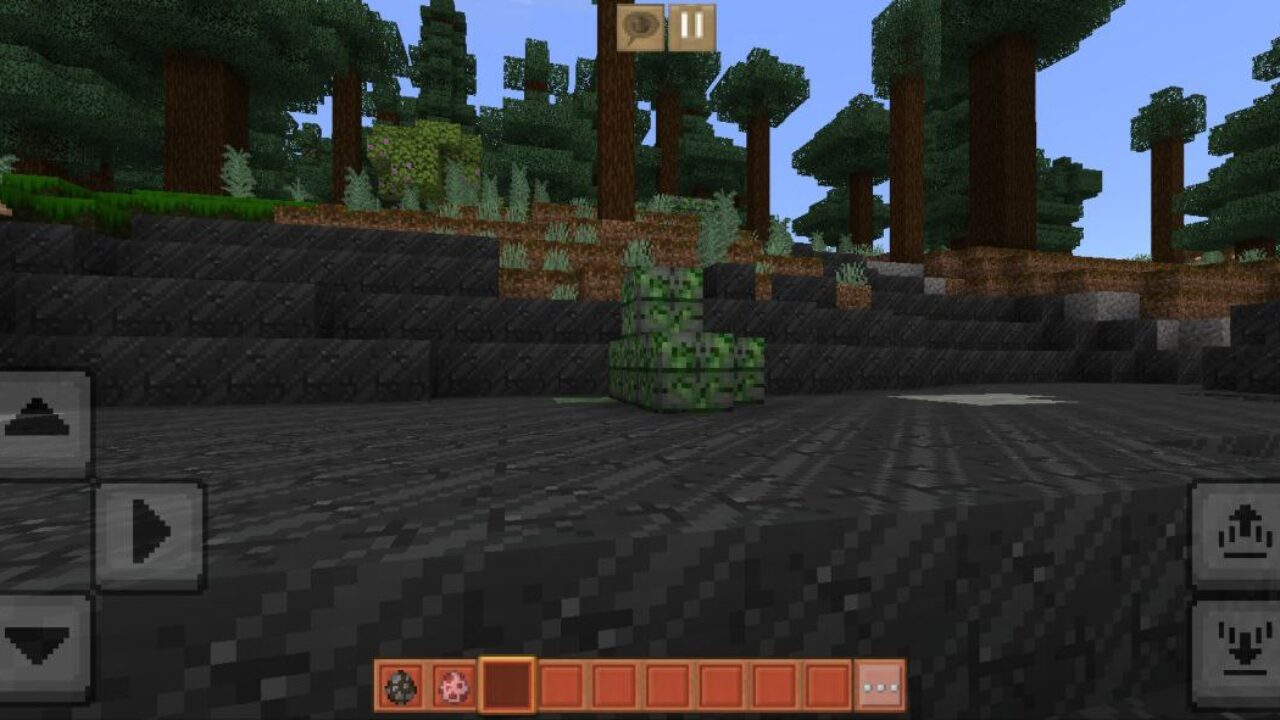 Nature from Block Sun Earth Texture Pack for Minecraft PE