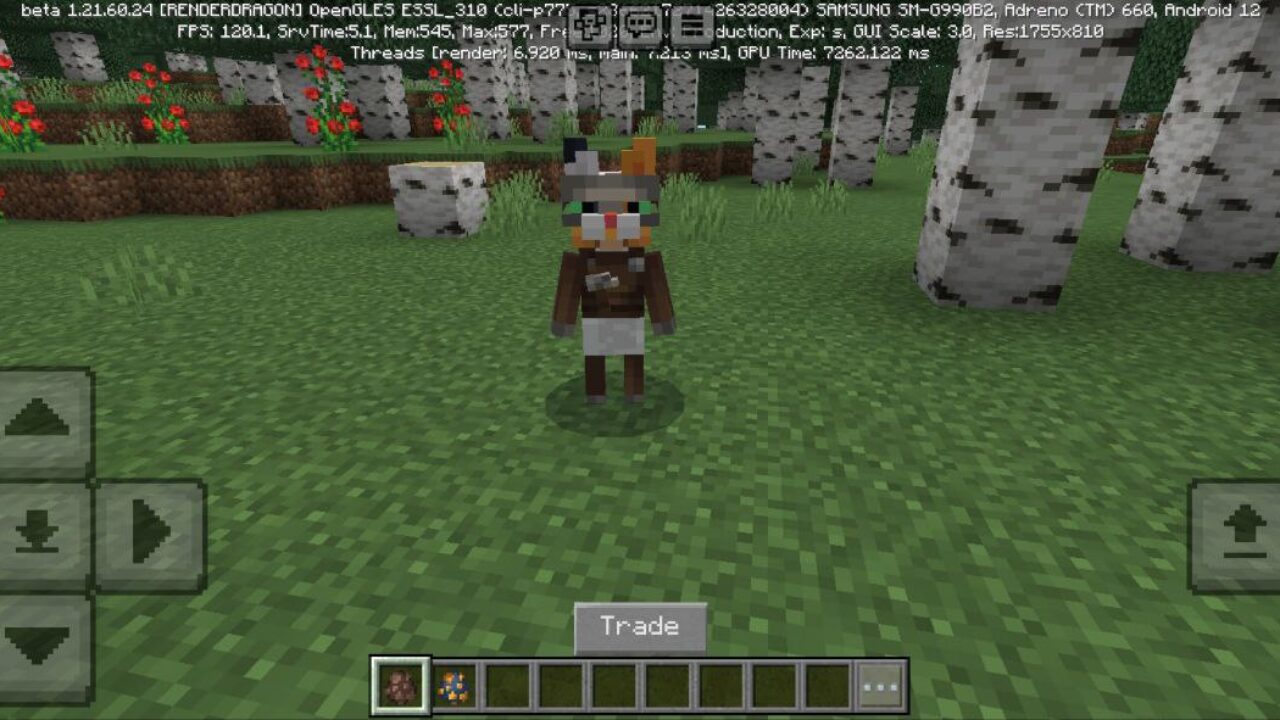 Cat from We Dont Scratch Texture Pack for Minecraft PE