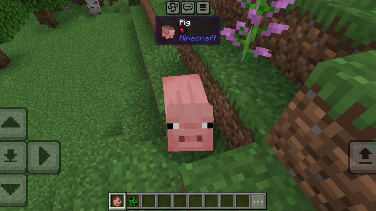 Pig from Chaos Mod for Minecraft PE