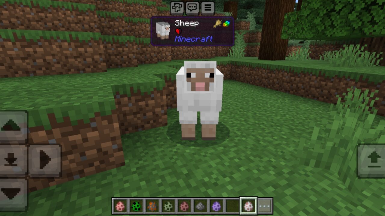 Sheep from Chaos Mod for Minecraft PE