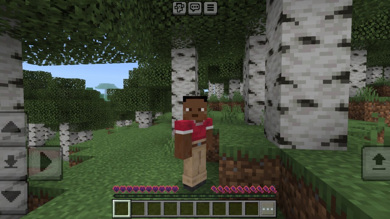 Abilities from Outlined Hearts and Hunger Texture Pack for Minecraft PE