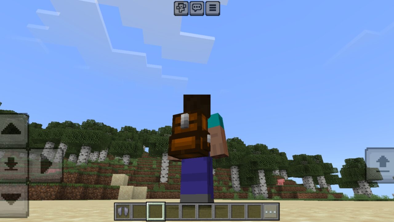 Backpack from Cakes Cosmetic Texture Pack for Minecraft PE