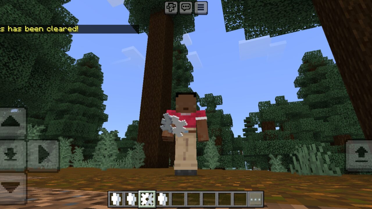 Cleared from Split Body Mod for Minecraft PE