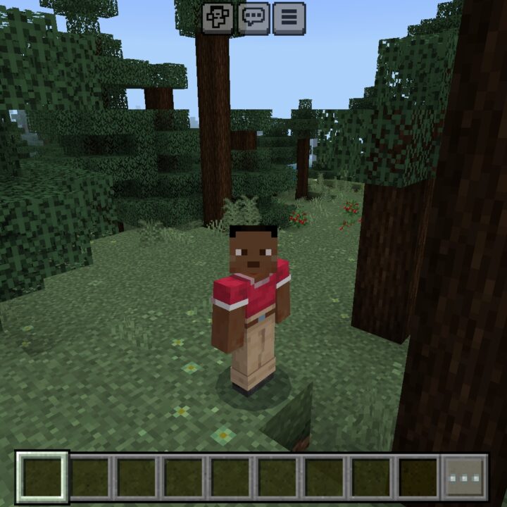 Fancy Nature Texture Pack for Minecraft PE