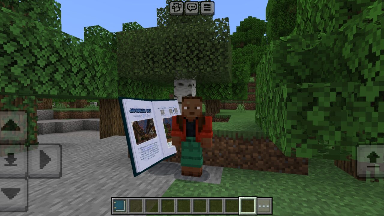 Info from Japanese Set Mod for Minecraft PE