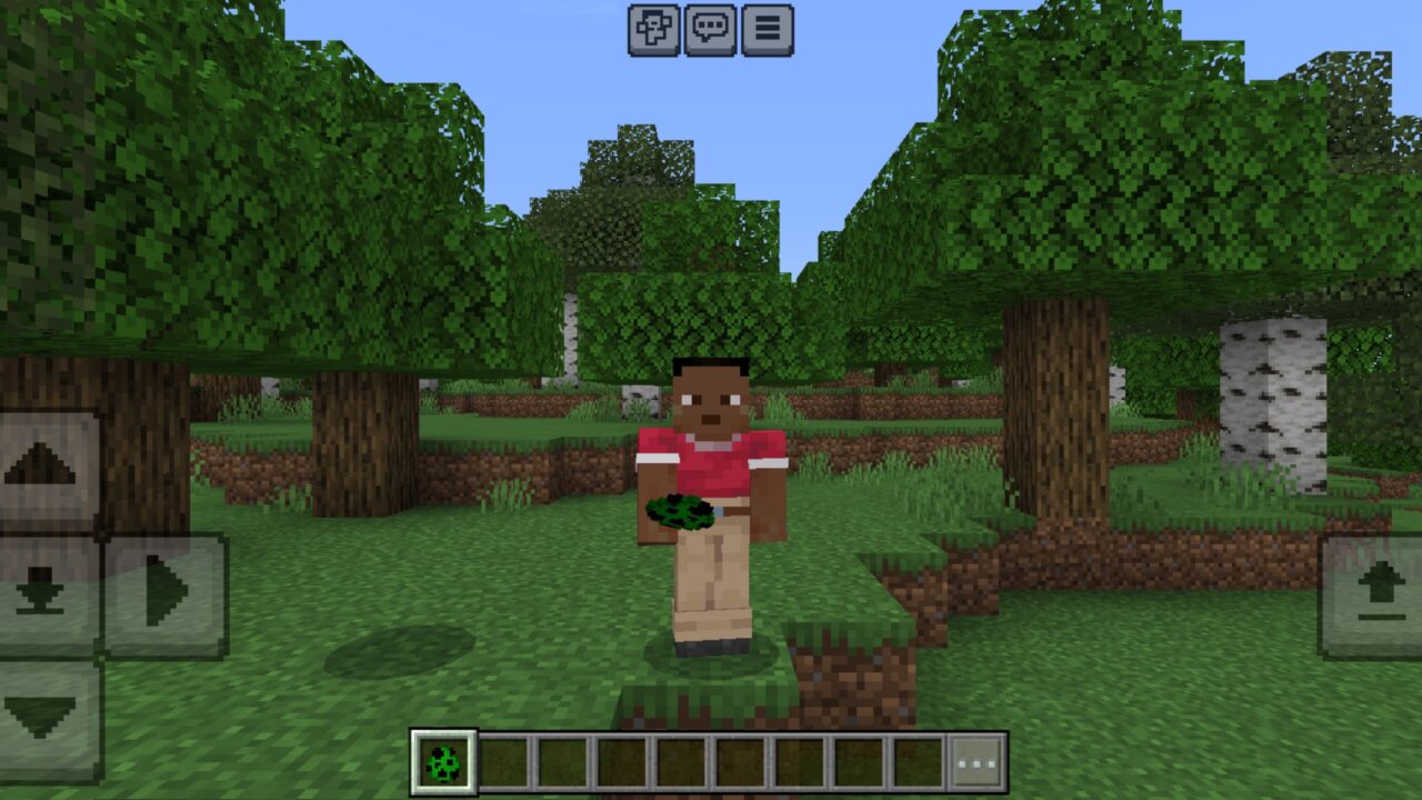 Invisible from Creeper Mod for Minecraft PE