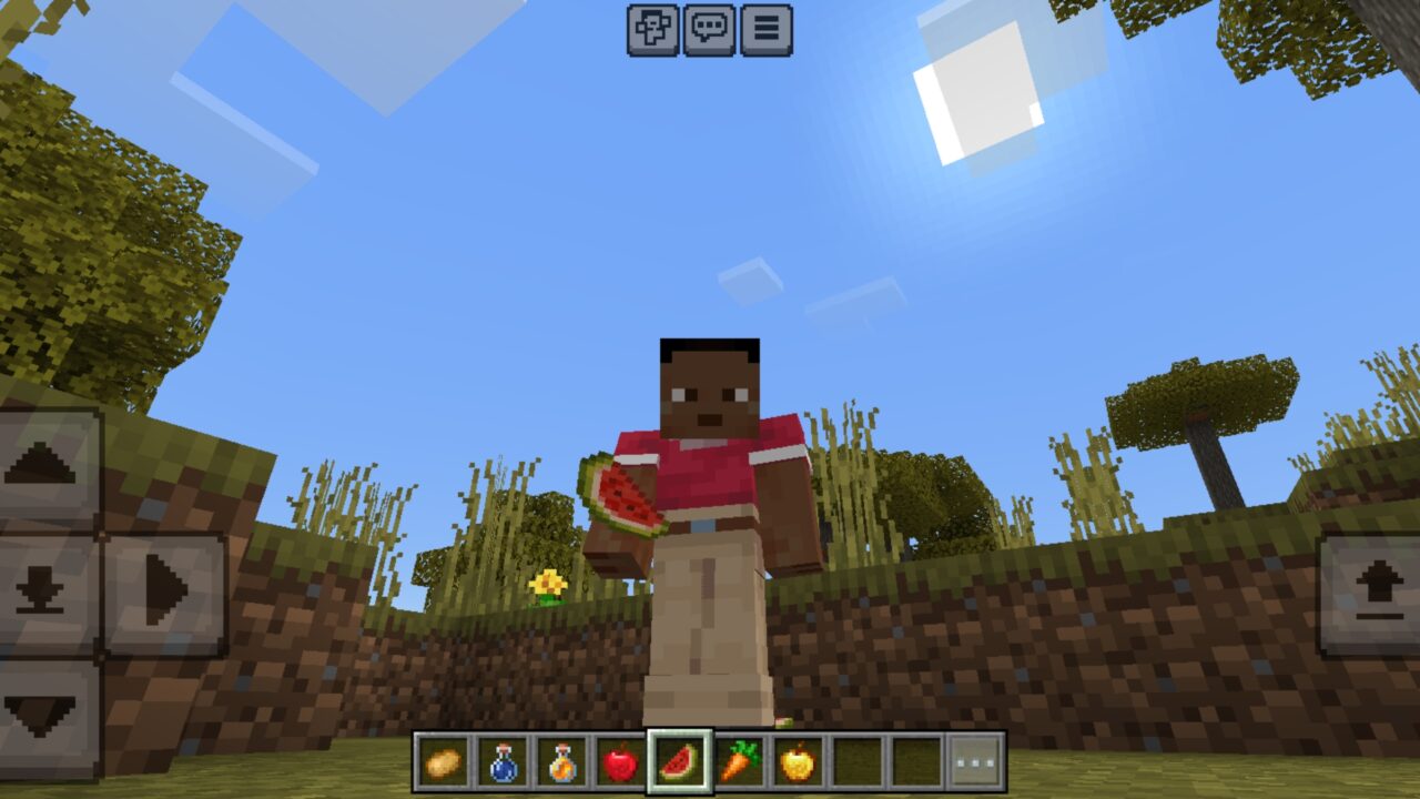 Melon from Eating Animation Texture Pack for Minecraft PE