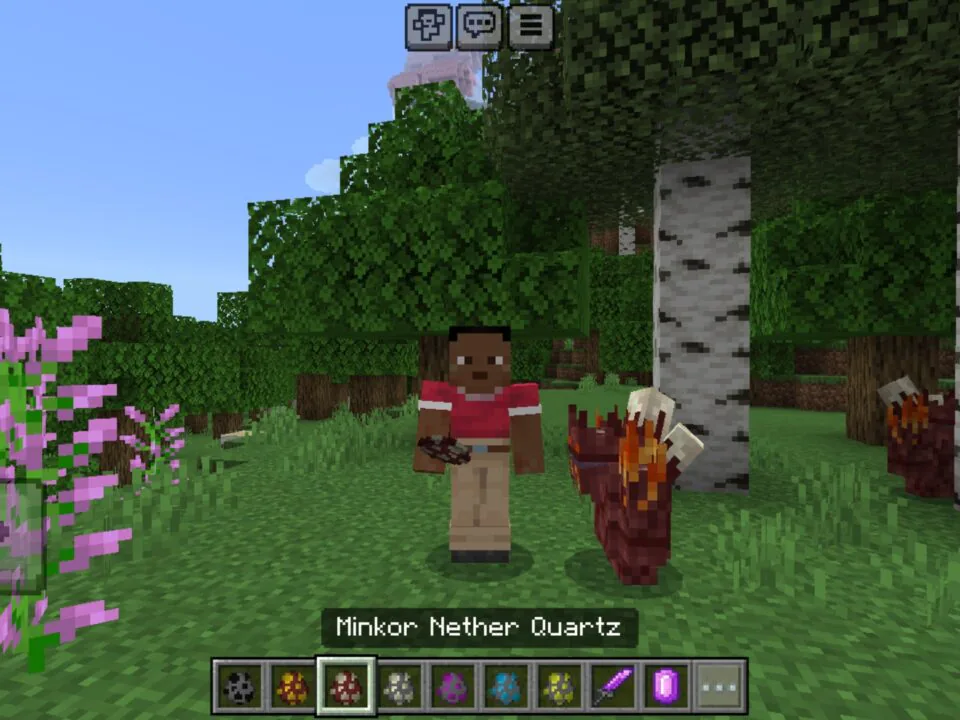 Minkors Mod for Minecraft PE