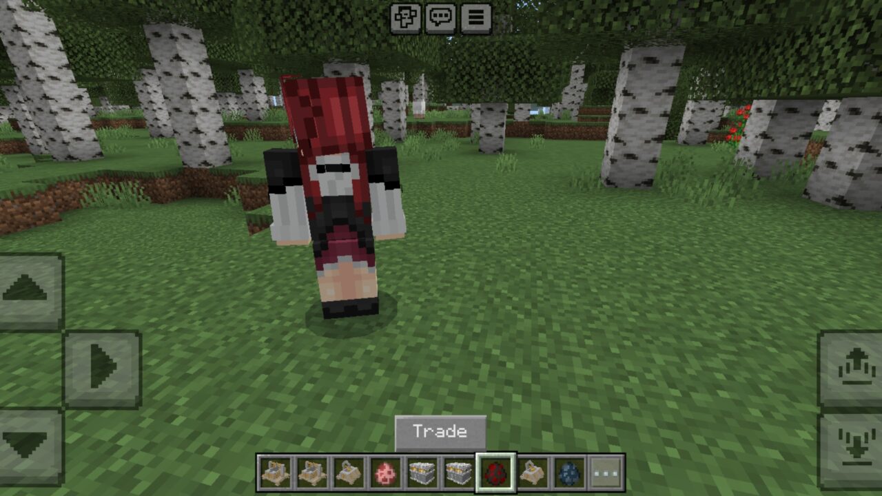 NPC from Pokeball Tycoon Mod for Minecraft PE