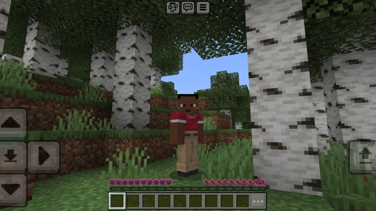 Options from Outlined Hearts and Hunger Texture Pack for Minecraft PE