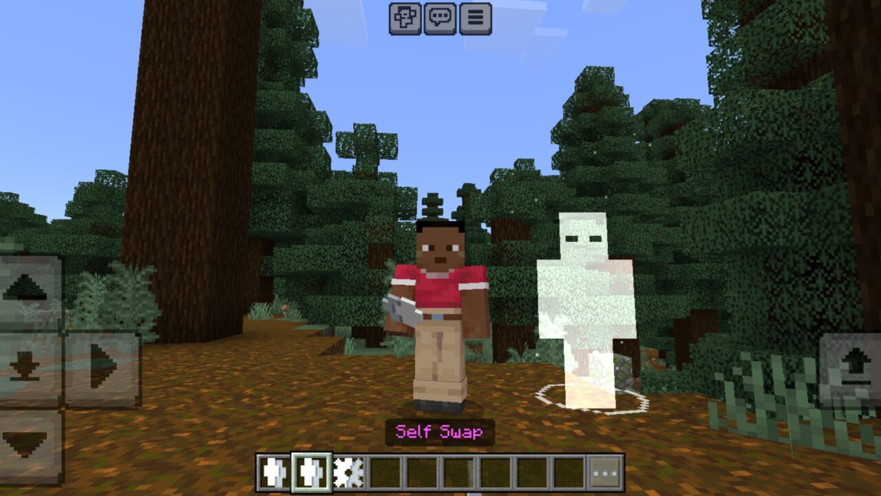 Options from Split Body Mod for Minecraft PE