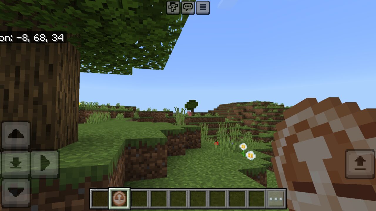 Position from Rewind Mod for Minecraft PE