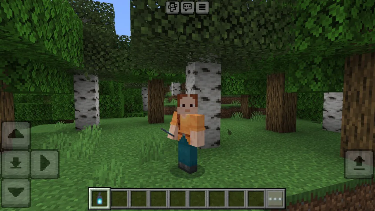 Shared Inventory Texture Pack for Minecraft PE