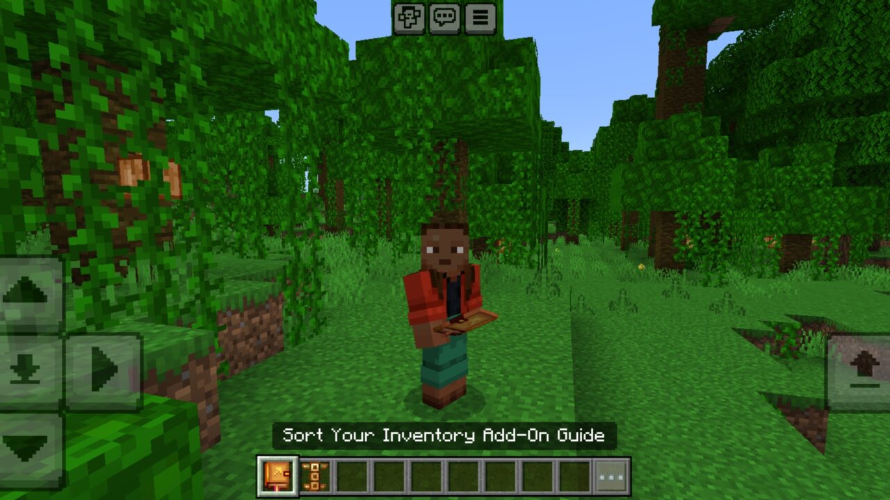 Sort Your Inventory Mod for Minecraft PE