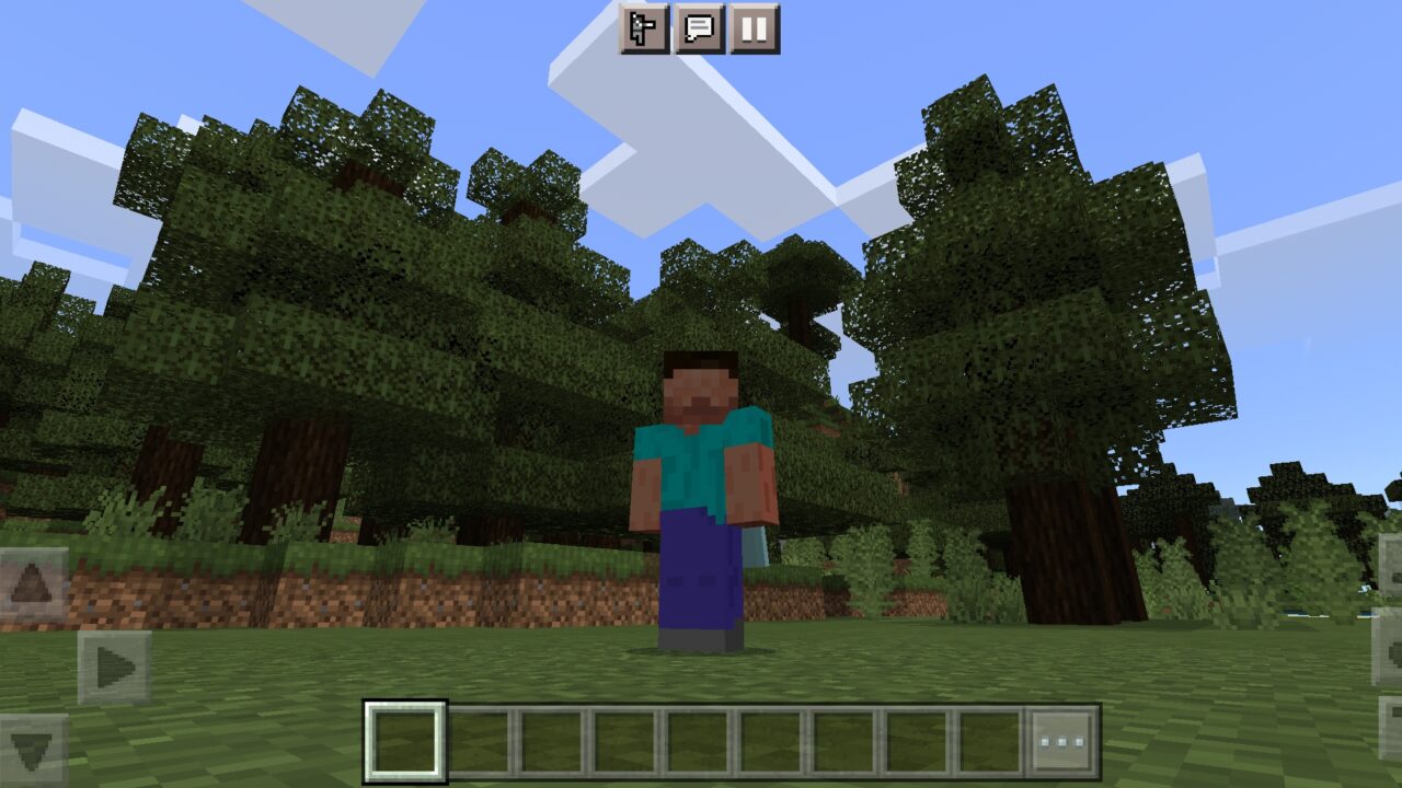 Stay True Texture Pack for Minecraft PE