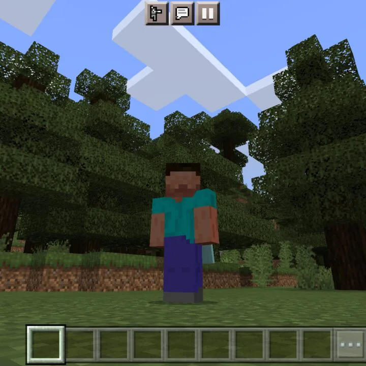 Stay True Texture Pack for Minecraft PE