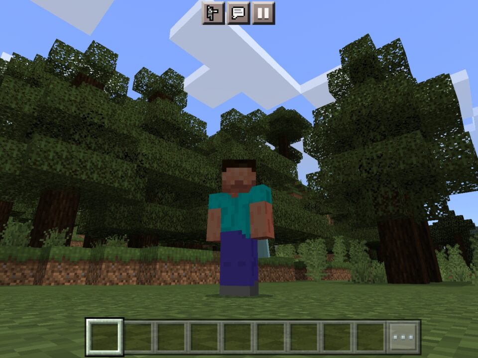 Stay True Texture Pack for Minecraft PE