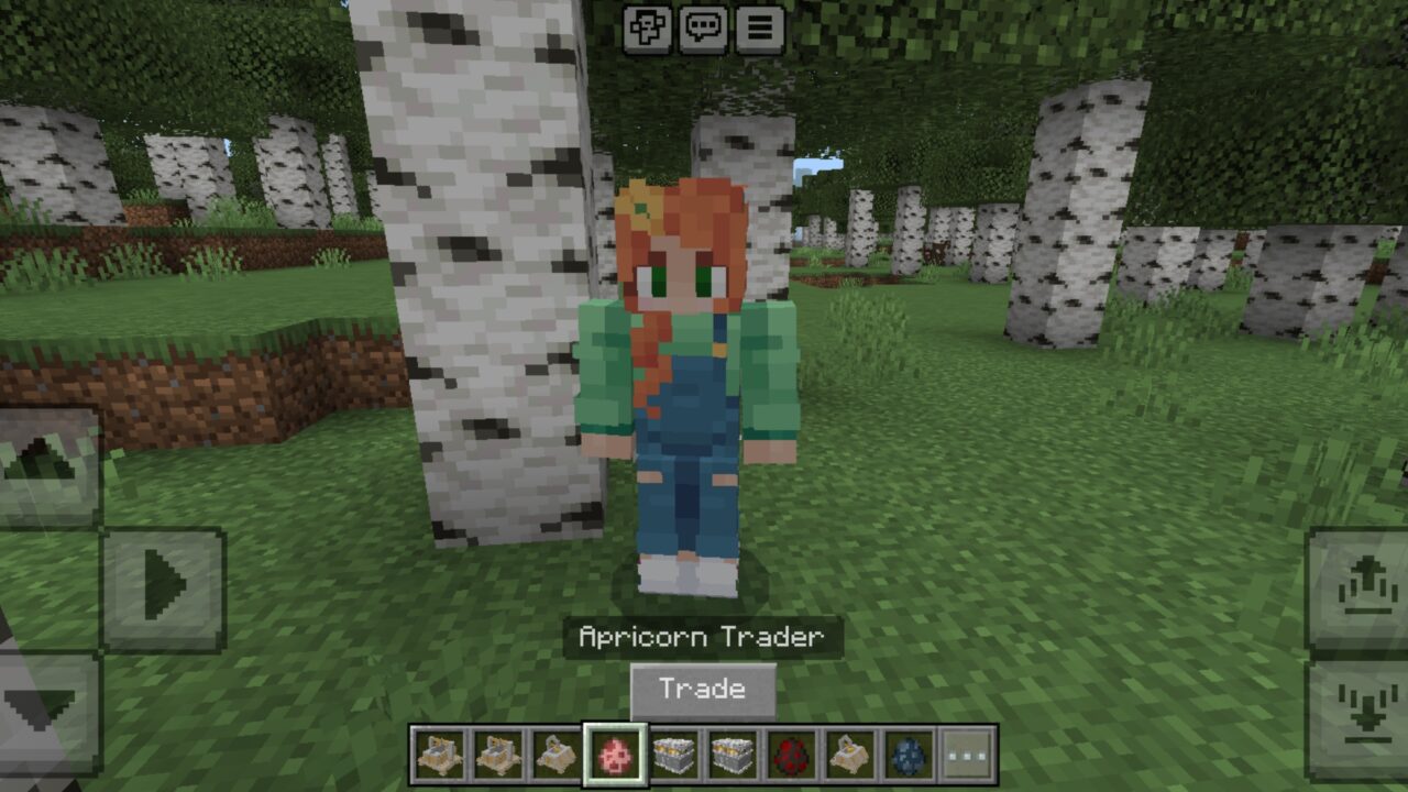 Trader from Pokeball Tycoon Mod for Minecraft PE