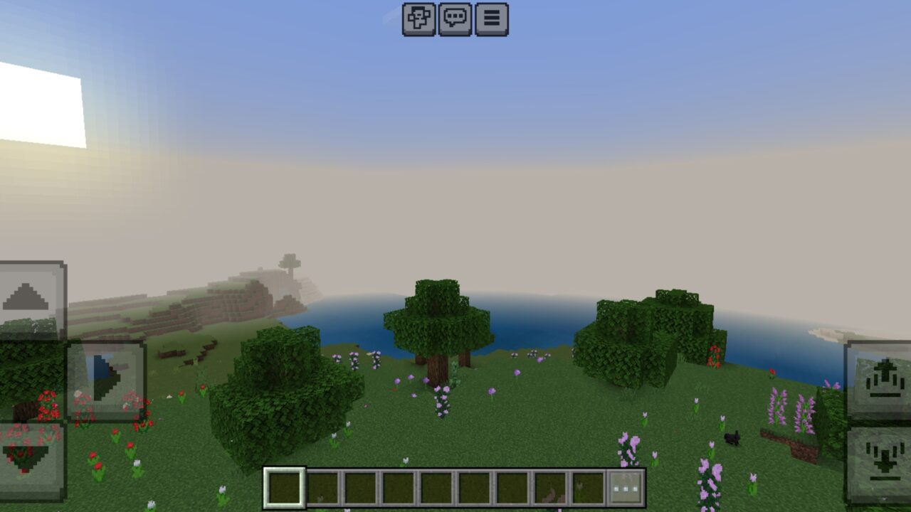 With Sun from Cant See the Sun and Moon Texture Pack for Minecraft PE