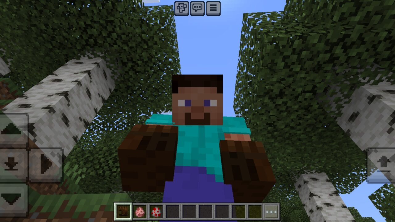 Abilities from Carry Animals Mod for Minecraft PE