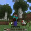 Carry Animals Mod for Minecraft PE