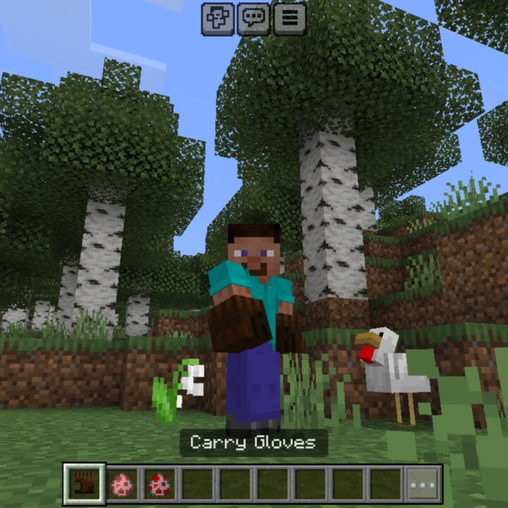 Carry Animals Mod for Minecraft PE