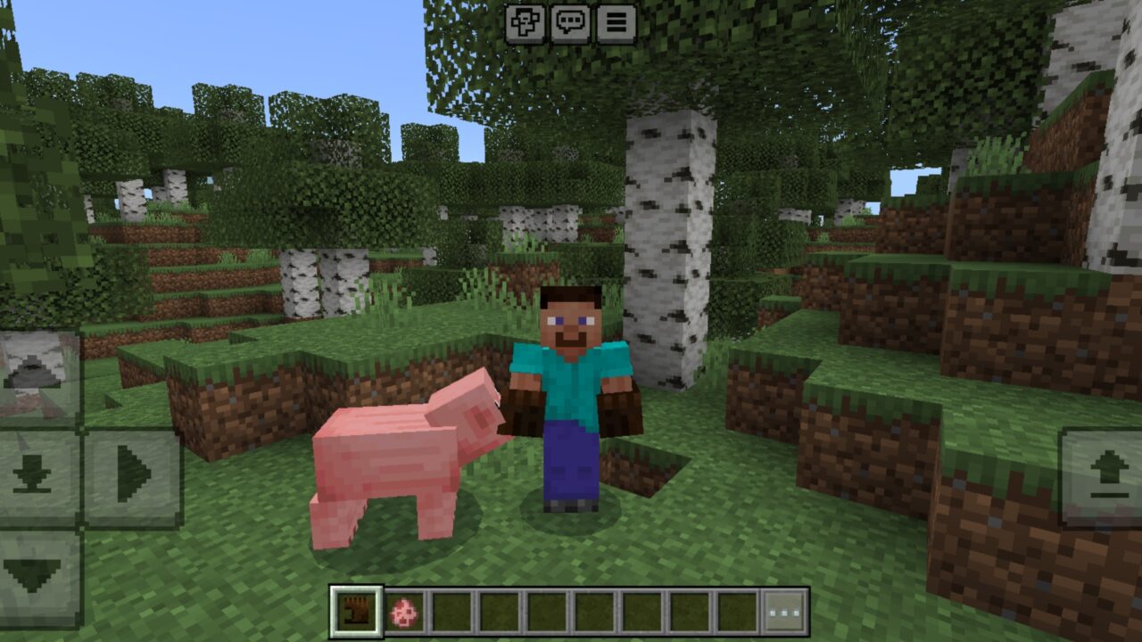 Gloves from Carry Animals Mod for Minecraft PE
