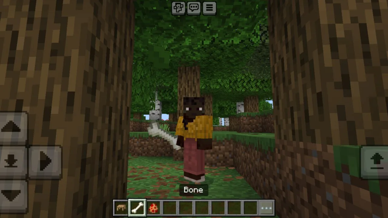 Loot from Dweller Pinocchio Mod for Minecraft PE