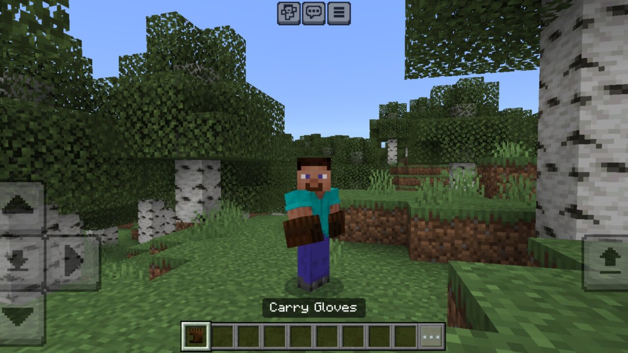 New Item from Carry Animals Mod for Minecraft PE