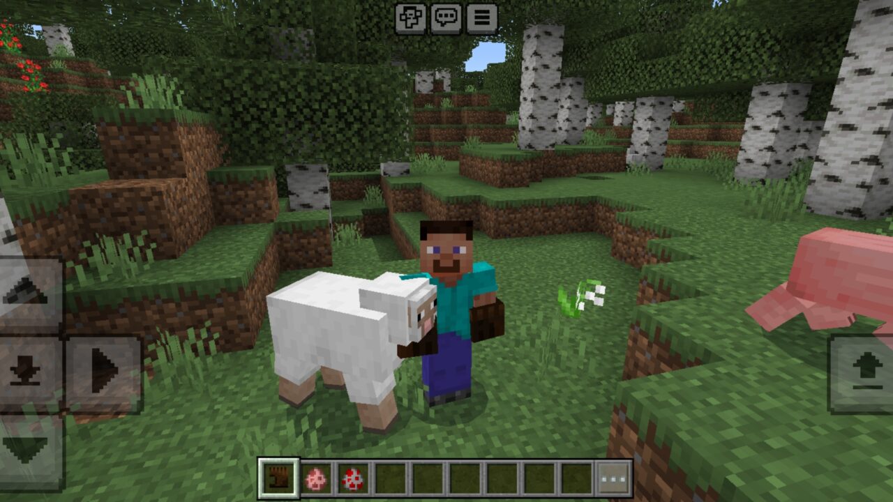 Options from Carry Animals Mod for Minecraft PE