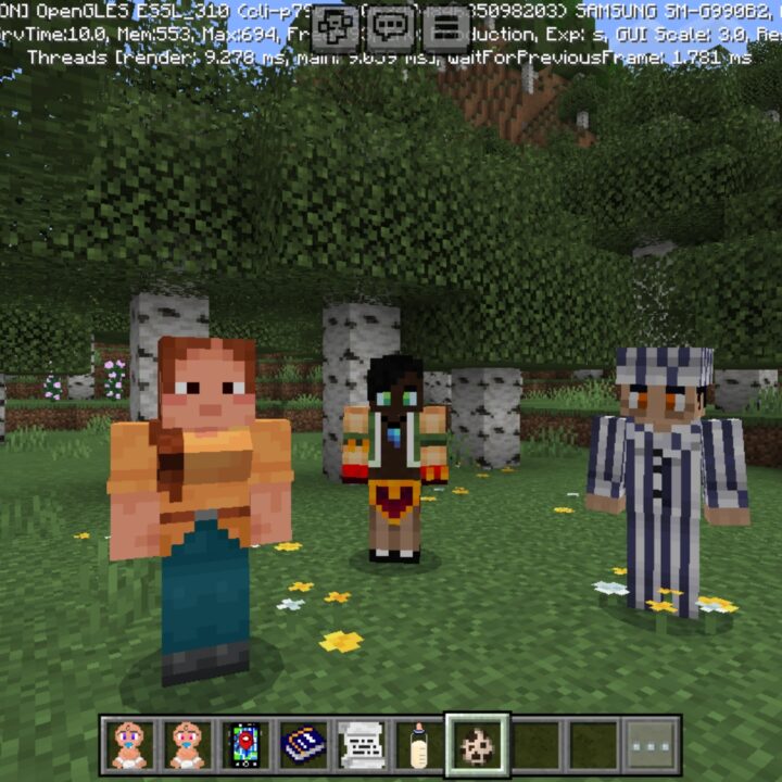 Phoenix Family Mod for Minecraft PE