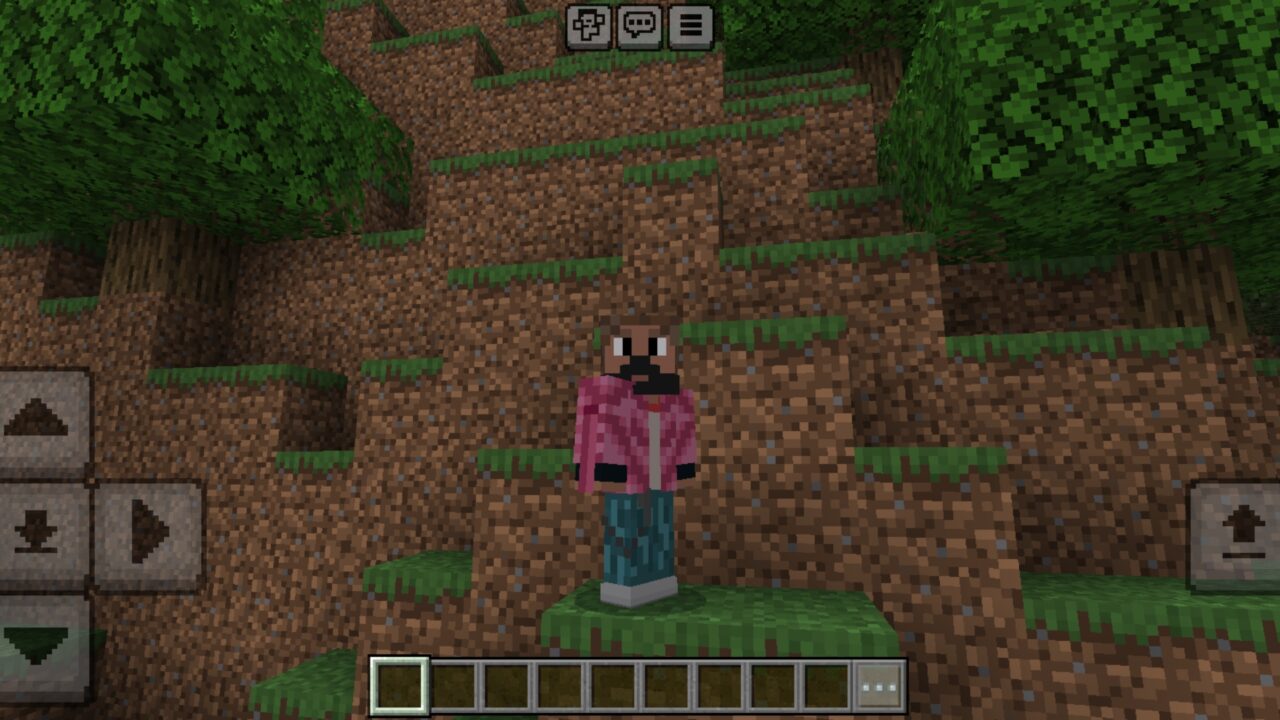 Heroes of the Overworld from Movie Mod for Minecraft PE