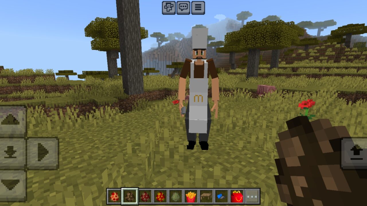 Cook from from McDonalds Mod for Minecraft PE