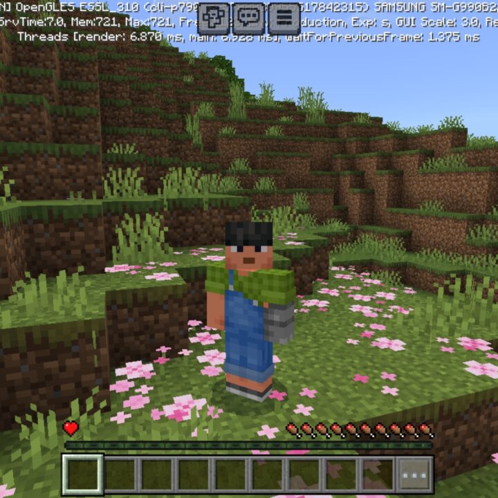 One HP Mod for Minecraft PE