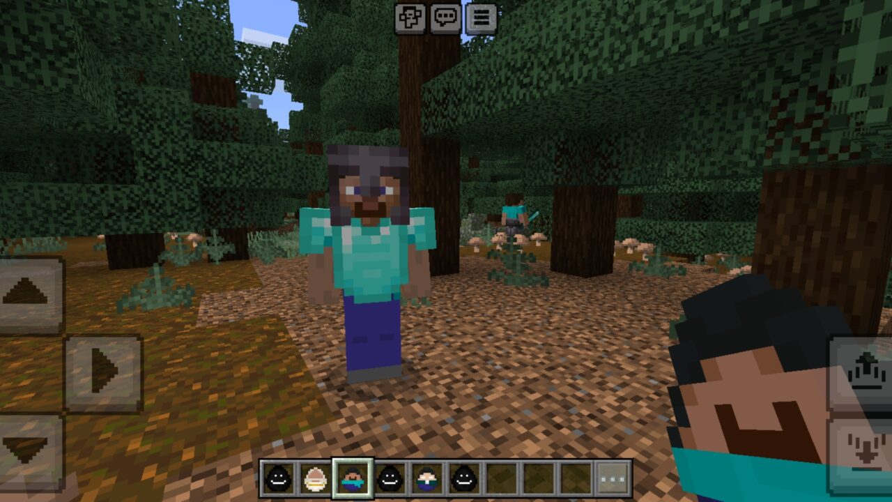 Pro from Noob Pro Hacker Mod for Minecraft PE