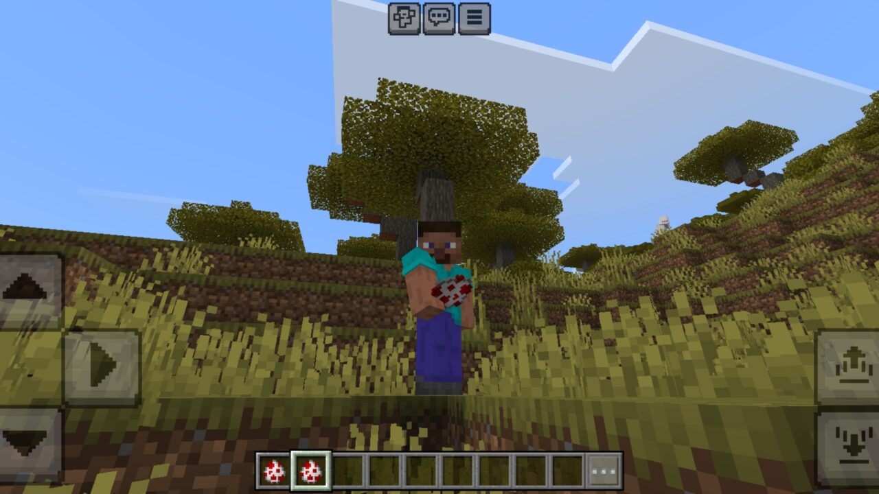 Spawn from Gore Wraith Dweller Mod for Minecraft PE