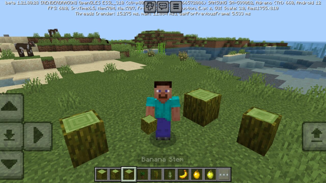 Stem from More Fruit Mod for Minecraft PE